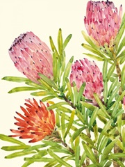 Watercolor Tropical Flowers I