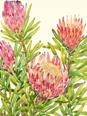 Watercolor Tropical Flowers II