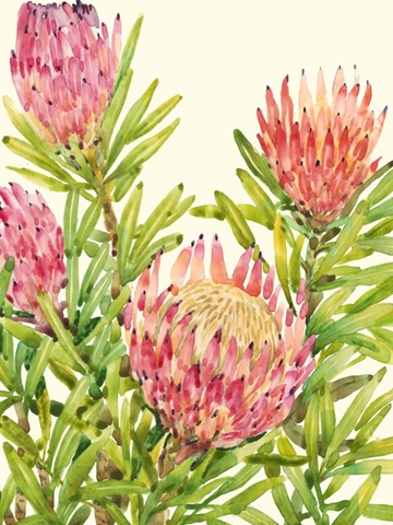 Watercolor Tropical Flowers II