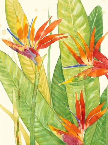 Watercolor Tropical Flowers III