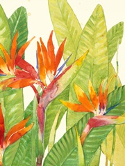 Watercolor Tropical Flowers IV