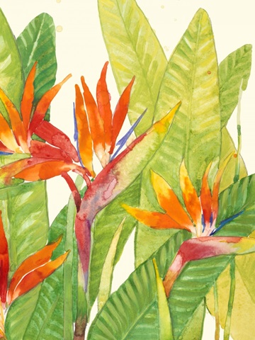 Watercolor Tropical Flowers IV