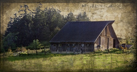 Widby's Barn II
