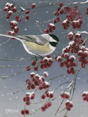 Winter Chickadees I