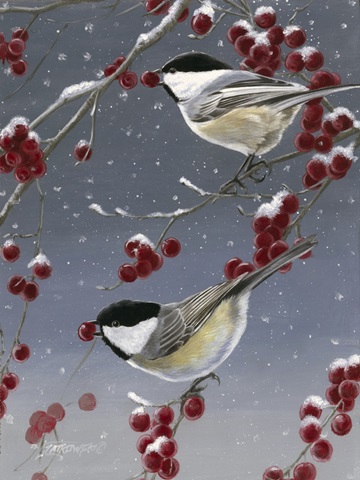 Winter Chickadees II