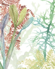 Woven Seaplants II