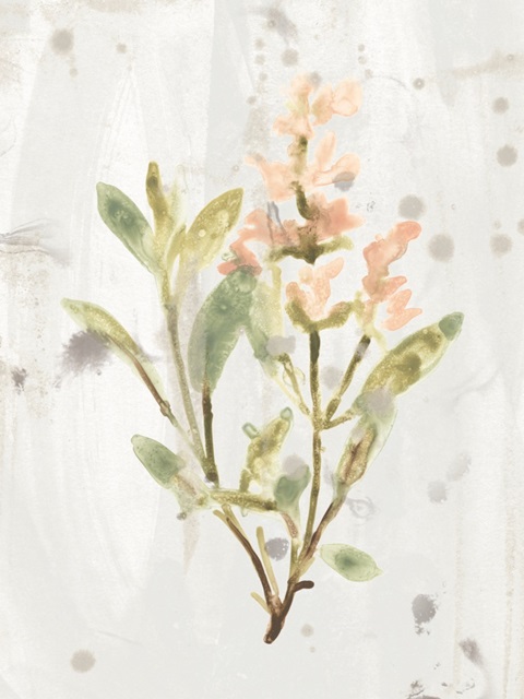 Antique Earthtone Herbs IV