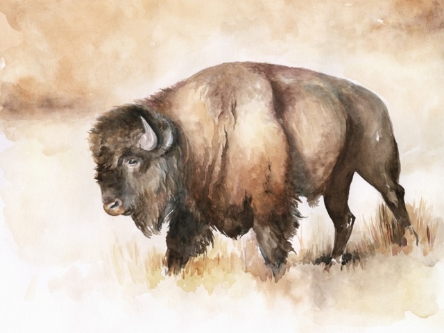 Buffalo Roam I