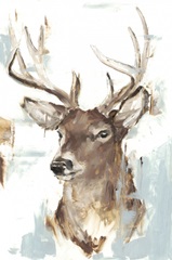 Modern Deer Mount II