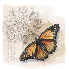 Shadow Box Butterfly I