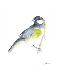 Watercolor Songbirds II