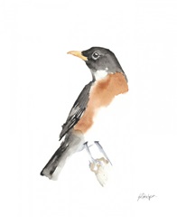 Watercolor Songbirds IV