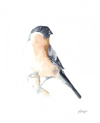 Watercolor Songbirds V