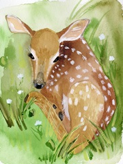 Baby Spring Animals I