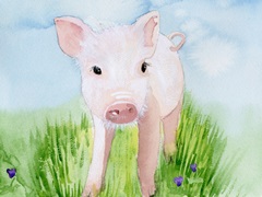 Baby Spring Animals V