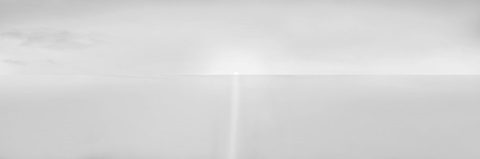 Black and White Water Panel IV