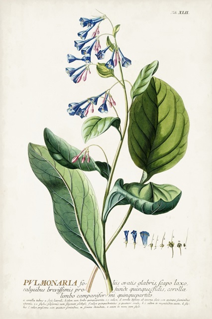 Alluring Botanical V