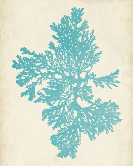 Aquamarine Seaweed II
