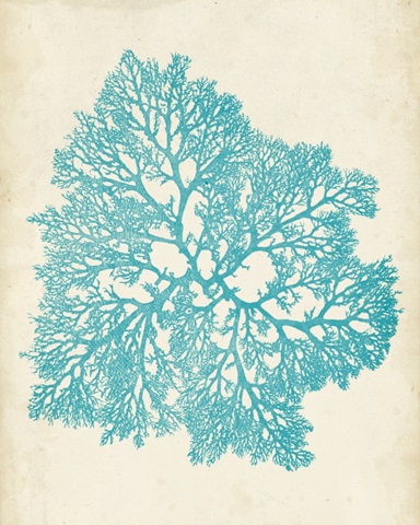 Aquamarine Seaweed V