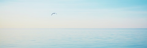 Beachscape Panorama XII