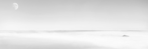 Black and White Water Panel XV