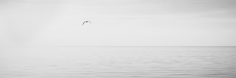 Black and White Water Panel XVI