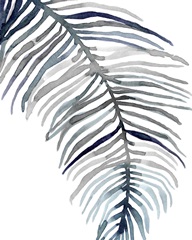 Blue Feathered Palm II