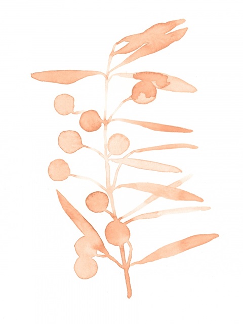 Blush Olive Branch II