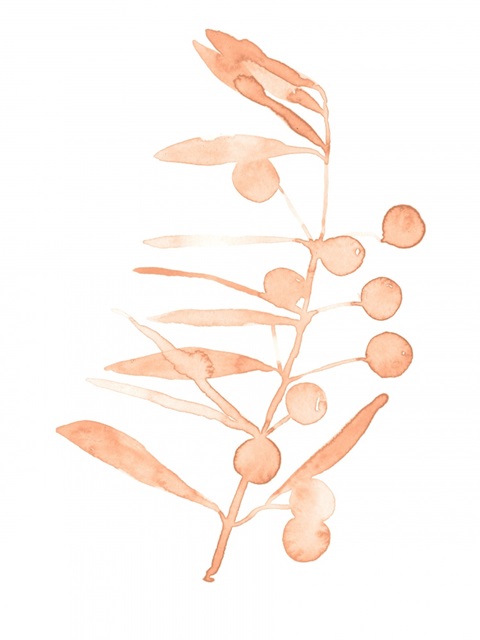 Blush Olive Branch III