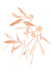 Blush Olive Branch IV