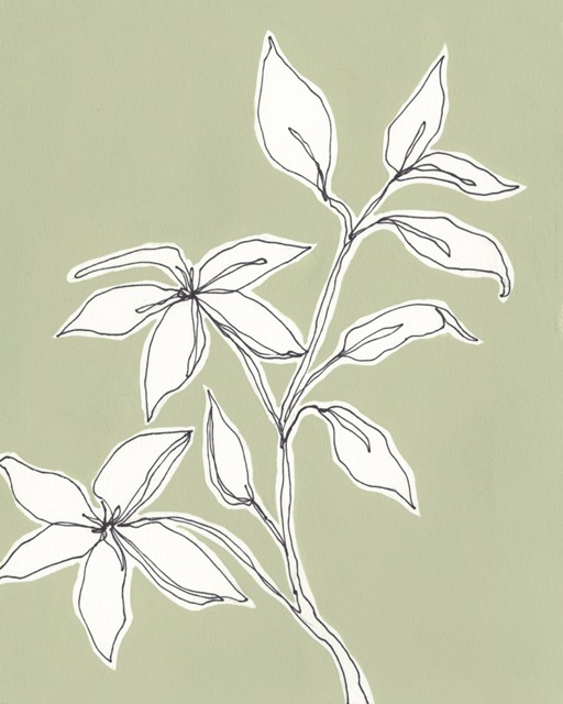 Botanic Drawing I