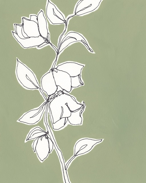 Botanic Drawing II