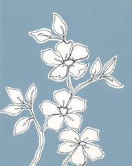 Botanic Drawing III