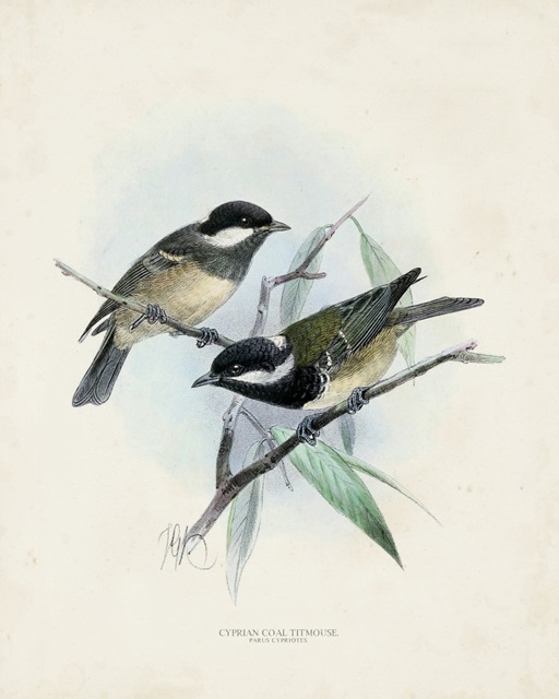 Antique Birds VII