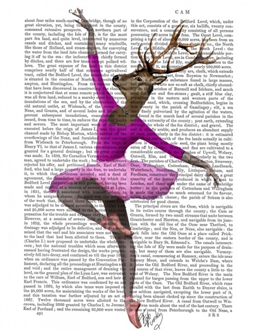 Ballet Deer in Pink