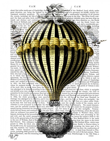 Baroque Fantasy Balloon 2