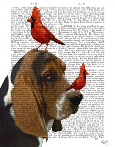 Basset Hound and Birds