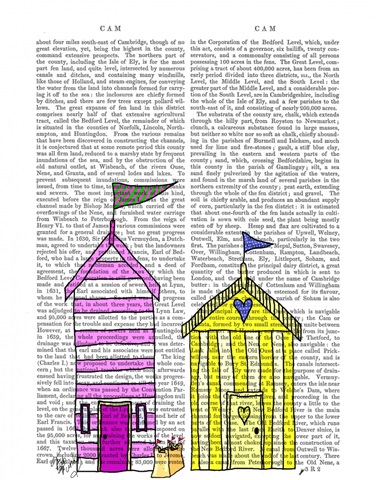 Beach Huts 3 Illustration
