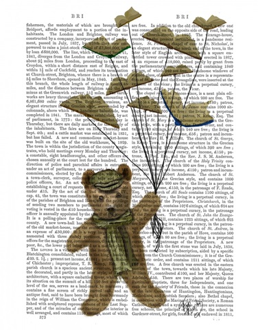 Bear with Book Butterflies