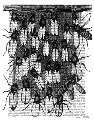 Bee and Honeycomb Print