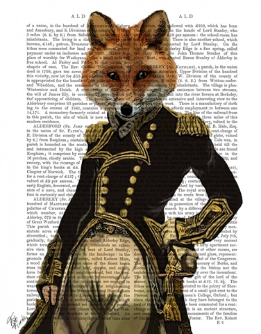 Admiral Fox Full