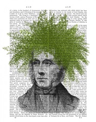 Asparagus Fern Head Plant Head