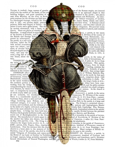 Badger on Vintage Bicycle