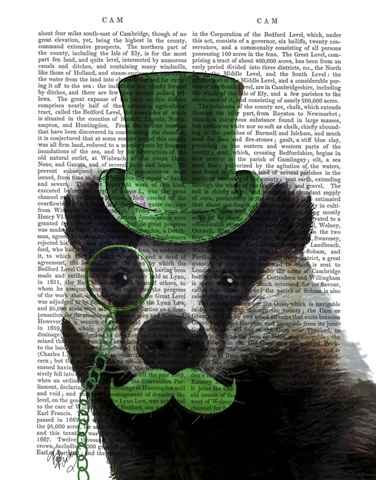 Badger with Green Top Hat and Moustache