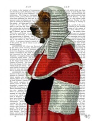 Basset Hound Judge Portrait