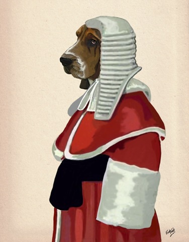 Basset Hound Judge Portrait