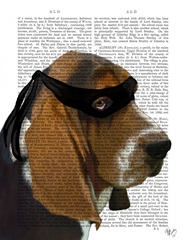 Basset Hound Ninja