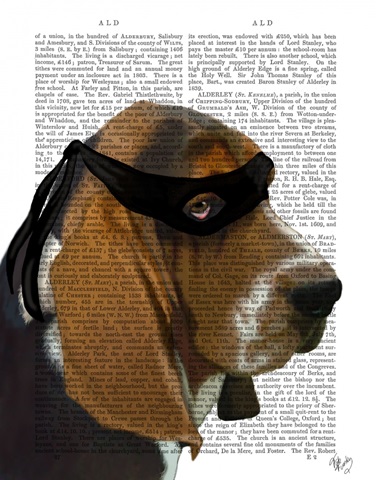 Basset Hound Ninja