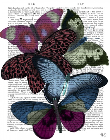 Big Bold Butterflies 1