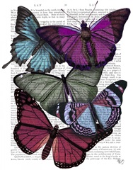 Big Bold Butterflies 3